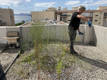 IDS étanch' localise et répare les fuites et infiltrations à Marseille 13
