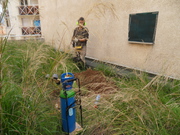 détection de fuite sur toiture végétalisée