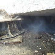  fumigène à La Trinité  Mars 2014 